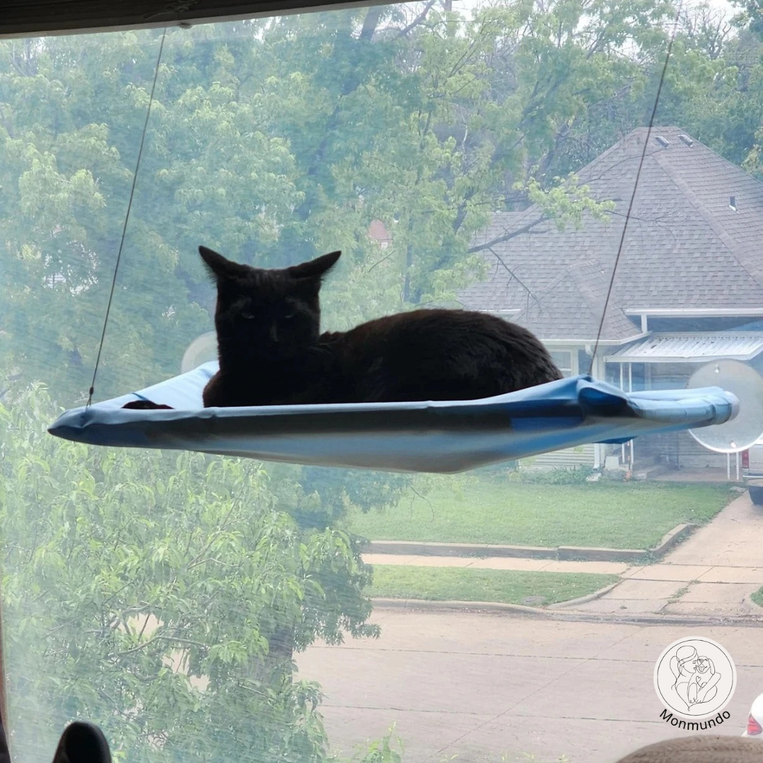 SunnyPurr Vensterhangmat