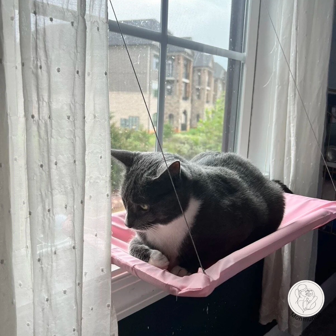 SunnyPurr Vensterhangmat