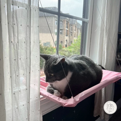 SunnyPurr Vensterhangmat