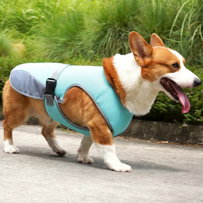 CoolPacer – Hét koelvest voor honden met UV-bescherming en ademend mesh