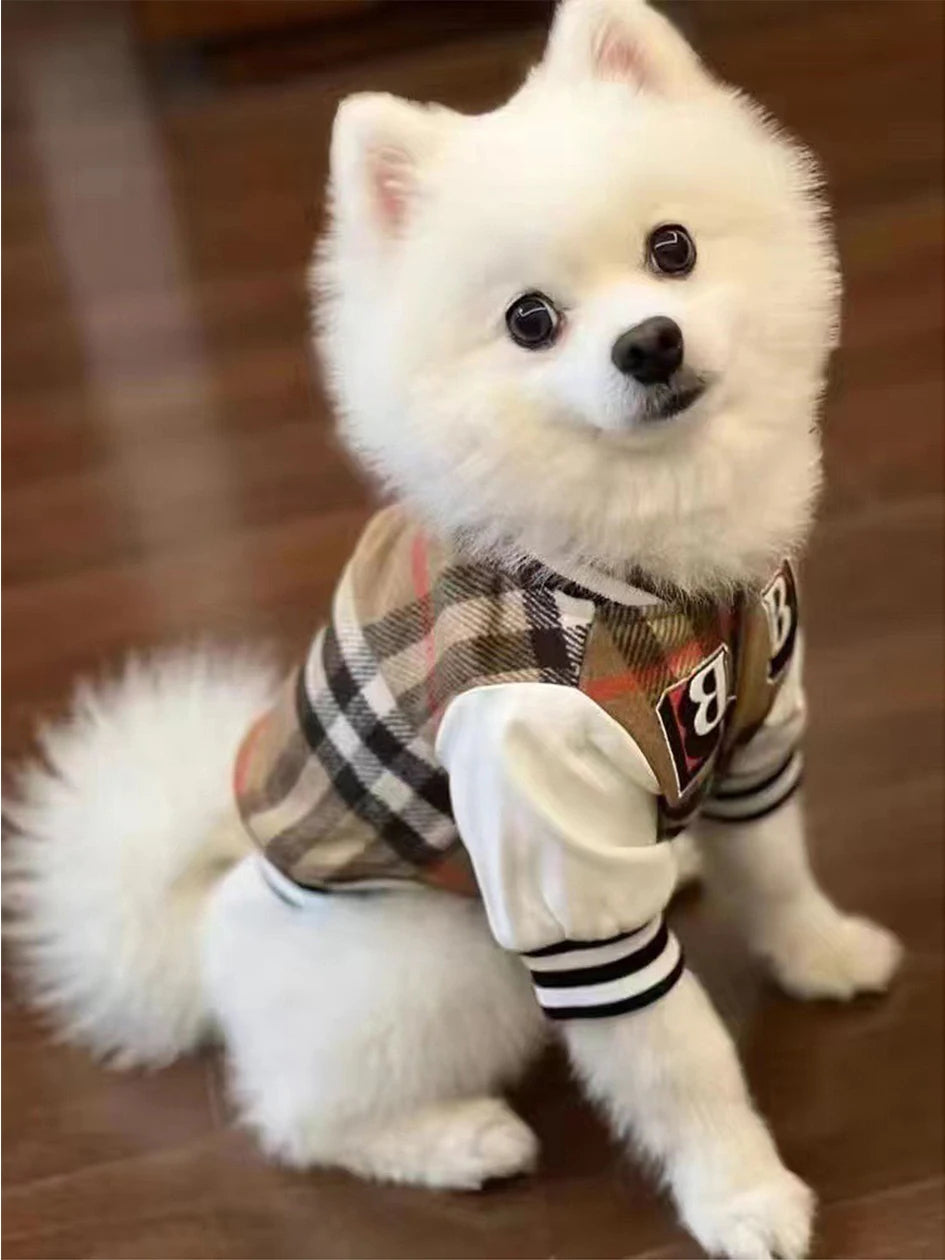 CoutureTail Baseball Jacket