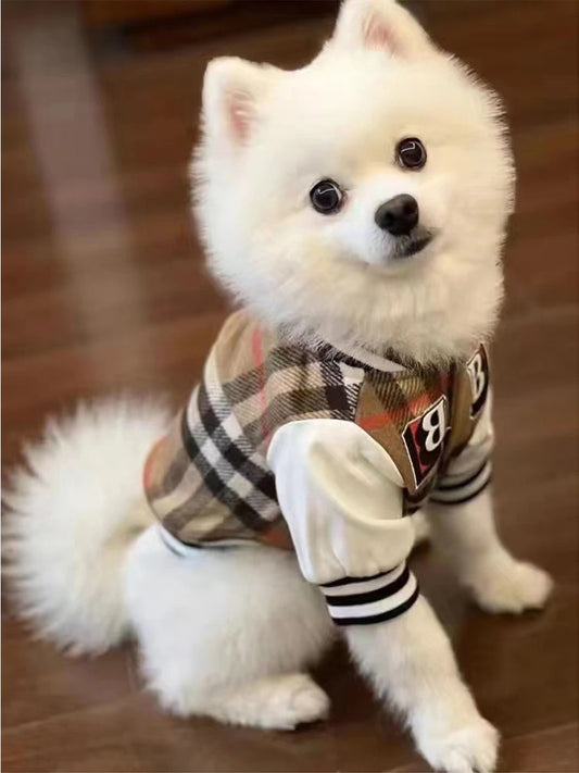 CoutureTail Baseball Jacket