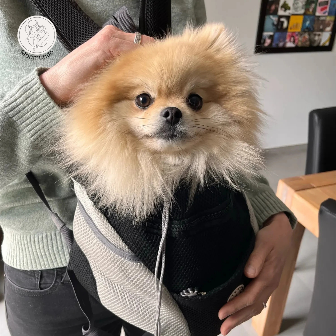 DogTransit – De Comfortabele en Veilige Rugzak voor Kleine Honden en Puppy’s!