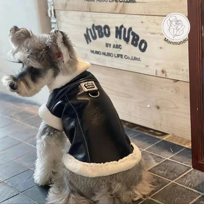 TeddySnug - Stijlvol, Schattig en Warmte voor Jouw Kleine Vriend