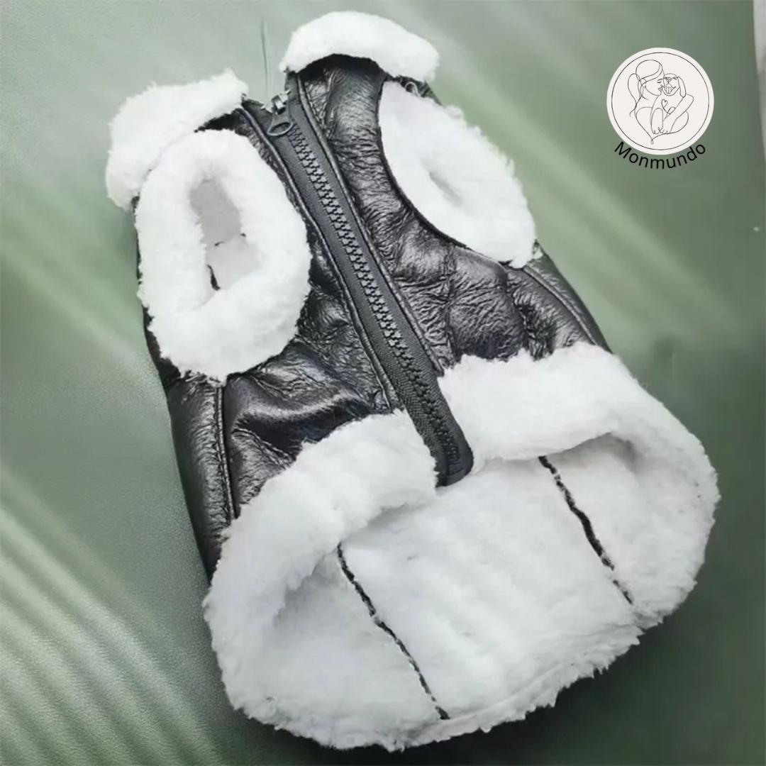 TeddySnug - Stijlvol, Schattig en Warmte voor Jouw Kleine Vriend